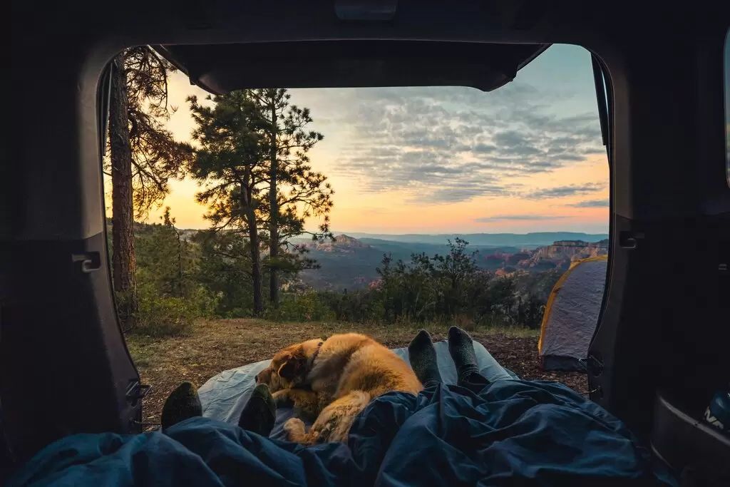 Technology and Sleep: Navigating the Digital Age